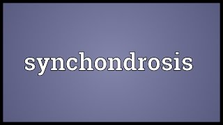 Synchondrosis Meaning