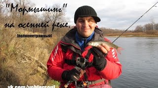 Мормышинг, или ловля спиннингом на мормышку, на осенней реке