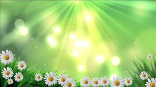 Футажи для видеомонтажа фон природа