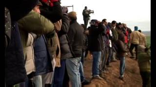 Campeonato Nacional de Galgos. Semifinal y Final