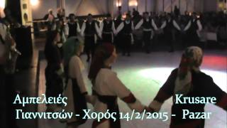 ΑΜΠΕΛΕΙΕΣ ΓΙΑΝΝΙΤΣΩΝ ΧΟΡΟΣ ΣΥΛΛΟΓΟΥ 2015 Α
