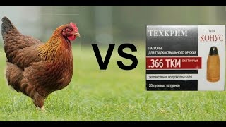 стоит ли охотиться на мелкую дичь 366 ТКМ