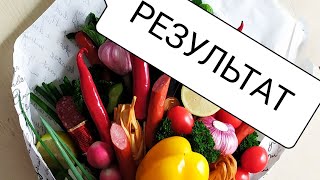 МУЛЬЧА АКТИВНАЯ.