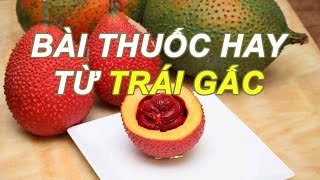 Bài thuốc hay từ hạt gấc | hạt gấc có tác dụng gì? MẸO CẦN BIẾT