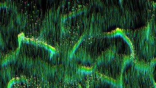 Green Trails Stock Motion Graphics