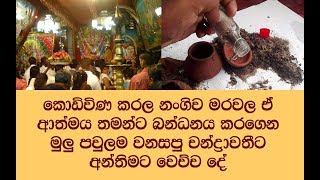 සත්‍ය කතාවක්..! අපොයි මෙහෙමත් සහෝදරයො.. දේපල ඉඩකඩම් වලට තන්හාවෙ මෙහෙමත් කරන්න පුලුවන්ද?