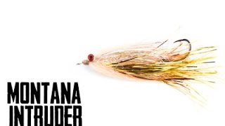 Montana Intruder