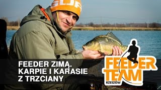 FTR Feeder zimą  Karpie i karasie z Trzciany