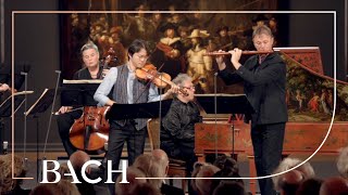 Bach - Brandenburg Concerto No. 5 in D major BWV 1050 - Sato | Netherlands Bach Society