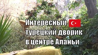 Необычный турецкий дворик в центре Аланьи и кошки