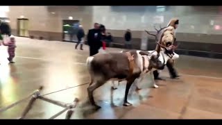 ЛУЧШИЕ ПРИКОЛЫ 2020/12 МИНУТ РЖАЧА,УГАРА,ТРЕША #7