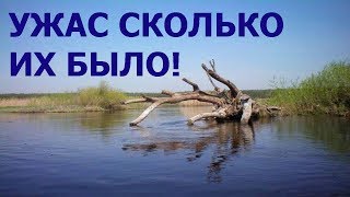 КОГДА НЫРНУЛ ПОД КОРЯГУ - ПРОСТО ОХРЕНЕЛ!