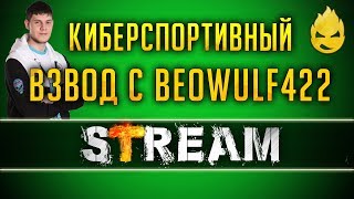 Десятые Имбы/Взвод с BEOWULF422 [Запись Стрима] - 18.03.19