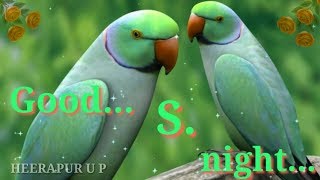 S Love Good night whatsapp status video S name Good night whatsapp status video Good night WhatsApp