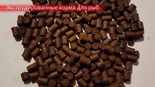 ЛУЧШИЙ КОРМ ДЛЯ РЫБ
