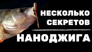 Ловля на наноджиг: секреты, приманки, проводки, спиннинг