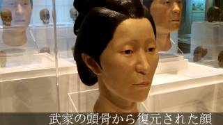 武家と町人の顔つきの違い　国立科学博物館　江戸人展