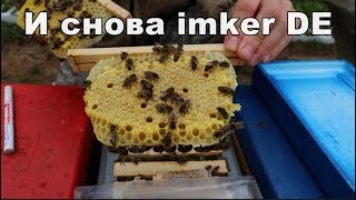 Германия: Подсадка неплодных маток в бигудях Nicot