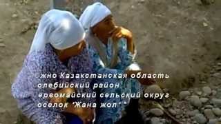 Аул "Жана жол" дождался поливной воды