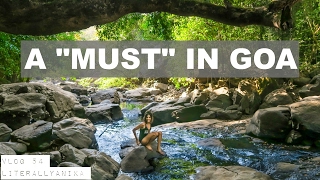 ONE DAY IN GOA? DO THIS! #TravelVlog 54