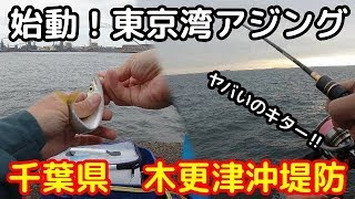東京湾アジング始動！木更津で試し釣り。アジ、サバ、メバル、カサゴ、ワカシ色々釣れたよ！