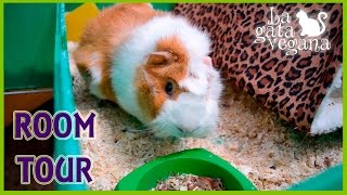 ROOM TOUR JAULA DE MI COBAYA MARZO 2016 | NUEVAS CAMITAS COLGANTES | GUINEA PIG CAGE TOUR