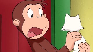Jorge el Curioso en Español ?Fiebre de Mono ?Mono Jorge?Caricaturas para Niños