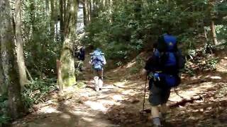 Appalachian Trail: Springer Mtn-Neels Gap (Georgia)