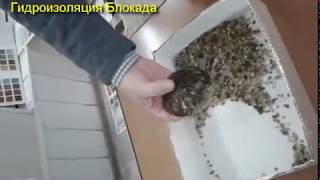 Гидроизоляция бассейна