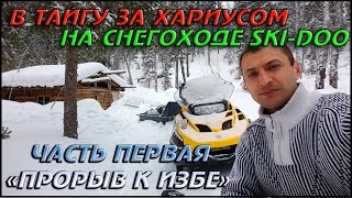 В ТАЙГУ ЗА ХАРИУСОМ НА СНЕГОХОДЕ SKI-DOO \ЧАСТЬ 1 "ПРОРЫВ К ИЗБЕ"