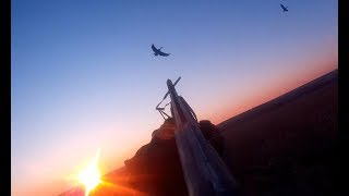охота на гуся . ОЧЕНЬ БОЛЬШОЙ ГУСЬ!!!