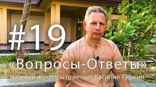 "Вопросы-Ответы", Выпуск #19 - Василий Тушкин отвечает на ваши вопросы