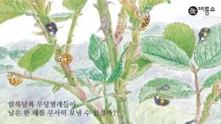 [비룡소]『알록달록 무당벌레야』북트레일러_edit01