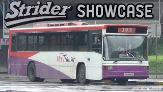[SBST] (Retired) Volvo B10M MKIV Walter Alexander Strider - Complete Showcase