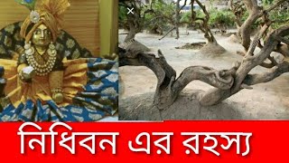 আজ তোমাদের বলব নিধিবন এর গল্প||আমার বারিতে নতুন কে এল?