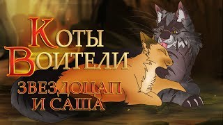 КОТЫ ВОИТЕЛИ | Звездоцап и Саша. 6 серия. Озвучка манги.