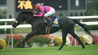 JRA・本馬場入場曲　Ａ　Ｗｉｎｎｅｒ　＆　Ｇｌｏｒｙ