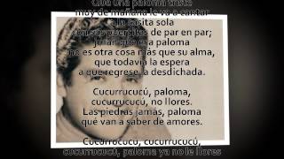 Cucurrucucú paloma - Miguel Aceves Mejía (letra)