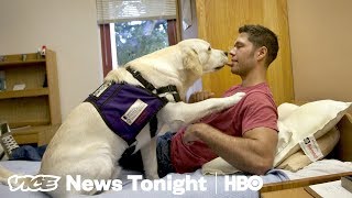 Veteran Suicide Prevention & Detroit Paintball Wars: VICE News Tonight Full Episode (HBO)
