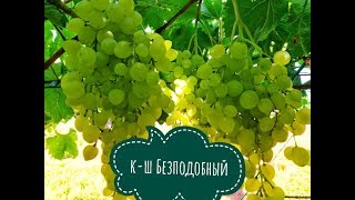БЕСПОДОБНЫЙ к-ш