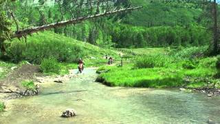 Dirt Bike Riding Manti La Sal Forest, Utah.  HD - WTA...Friends