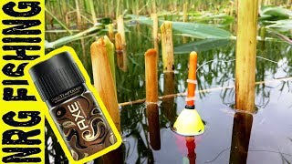 Ловля КАРАСЯ на шоколадный AXE | Я офигел от результата!!!