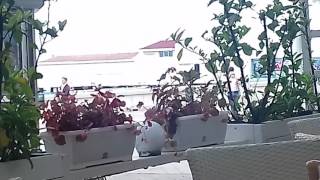 Крым 2017/Что бесит меня в крымчанах/Ялта 2017