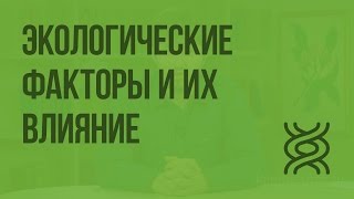 Экологические факторы и их влияние на живые организмы. Видеоурок по биологии 5 класс