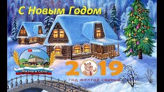Поздравления С Новым Годом ( 2019 год-этот год свиньи)