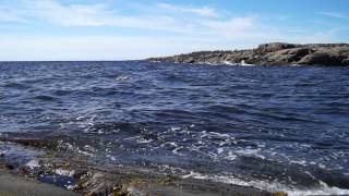 Умба - Белое море - 2014