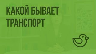 Какой бывает транспорт. Видеоурок по окружающему миру 2  класс