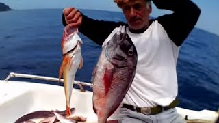 Fishing Line (Παραγάδια Κύμη Μάκης-Σάκης Νο16)