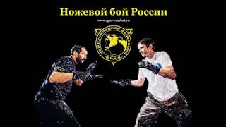 S.P.A.S. Урок 2.1. Воюшин К.