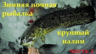 ЛУЧШАЯ НОЧНАЯ РЫБАЛКА НА КРУПНОГО НАЛИМА / часть 2 / Winter night fishing / big fish